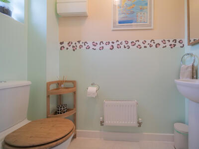 Picture 5